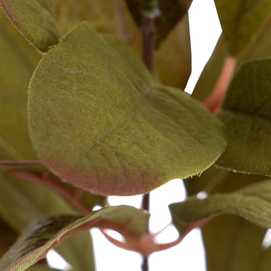 RAMA FICUS VERDE ARTIFICIAL DECORACIÓN 12 X 10 X 38 CM