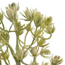 RAMA FLORES BLANCO ARTIFICIAL 9 X 6 X 55 CM RAMA FLORES BLANCO ARTIFICIAL 9 X 6 X 55 CM