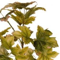 RAMA VERDE PVC JARDÍN 56 CM RAMA VERDE PVC JARDÍN 56 CM