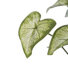 RAMA SINGONIO VERDE "PVC" 36 X 38 X 48 CM RAMA SINGONIO VERDE "PVC" 36 X 38 X 48 CM