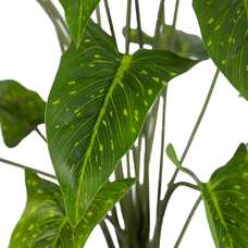 RAMA SINGONIO VERDE "PVC" 43 X 41 X 46 CM RAMA SINGONIO VERDE "PVC" 43 X 41 X 46 CM