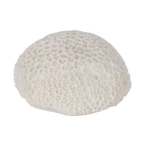 LÁMPARA MESA ESPONJA ARENISCA 13,70 X 13 X 9 CM