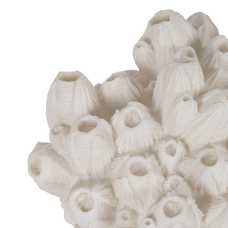 LÁMPARA MESA CORAL ARENISCA 33 X 27,30 X 19,50 CM LÁMPARA MESA CORAL ARENISCA 33 X 27,30 X 19,50 CM