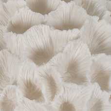 LÁMPARA MESA CORAL ARENISCA 32 X 27,50 X 23 CM LÁMPARA MESA CORAL ARENISCA 32 X 27,50 X 23 CM