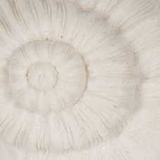 LÁMPARA MESA CARACOL ARENISCA 14,80 X 10,20 X 10,30 CM LÁMPARA MESA CARACOL ARENISCA 14,80 X 10,20 X 10,30 CM