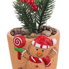 MACETA ACEBO TERRACOTA 8 X 7,50 X 15 CM MACETA ACEBO TERRACOTA 8 X 7,50 X 15 CM