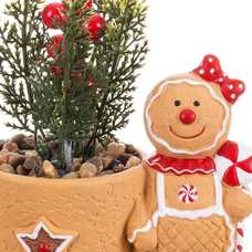 MACETA ACEBO TERRACOTA 12 X 7,50 X 15 CM MACETA ACEBO TERRACOTA 12 X 7,50 X 15 CM