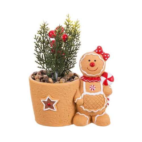 MACETA ACEBO TERRACOTA 12 X 7,50 X 15 CM