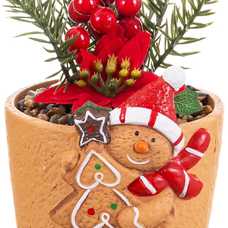 MACETA ACEBO TERRACOTA 12,60 X 12 X 22 CM MACETA ACEBO TERRACOTA 12,60 X 12 X 22 CM