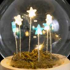 PEANA CON TAPA Y LUZ CRISTAL/MADERA 12 CM PEANA CON TAPA Y LUZ CRISTAL/MADERA 12 CM