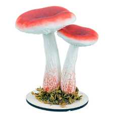 SETAS FOAM 3/C 8 X 18 CM