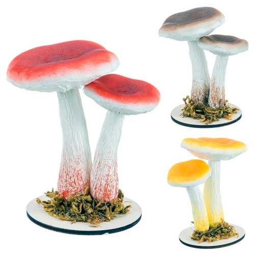 SETAS FOAM 3/C 8 X 18 CM