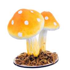 SETAS FOAM 3/C 9 X 11 CM