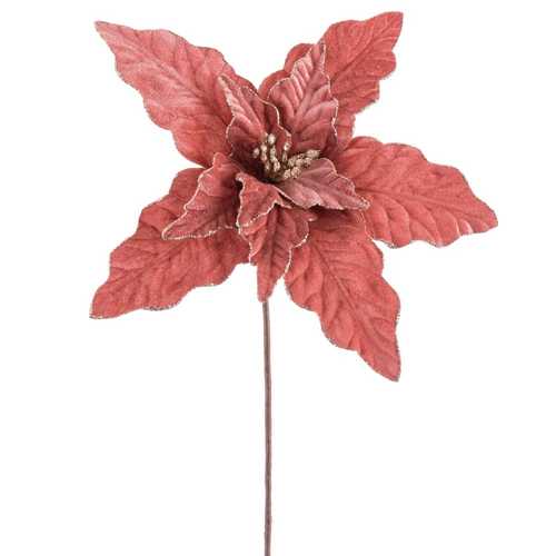 POINSETTIA ROSA 30 X 30 X 50 CM