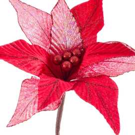 POINSETTIA ROJO 32 X 32 X 50 CM