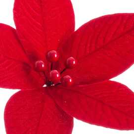 POINSETTIA POLIESTER ROJO 27 X 27 X 29 CM