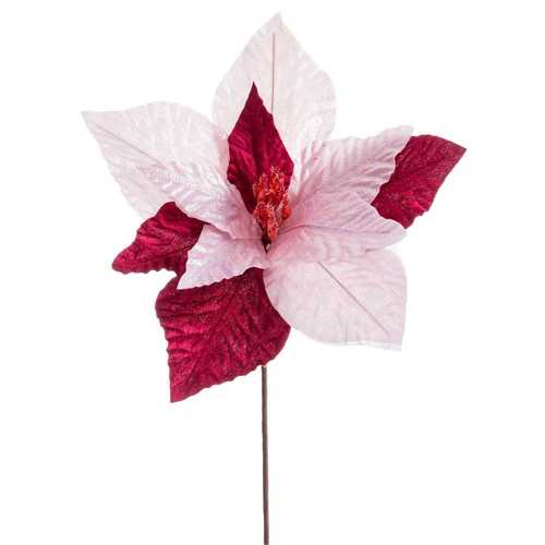 POINSETTIA 2 COLORES POLIESTER BORGOÑA 30 X 30 X 29 CM