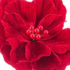 MAGNOLIA POLIESTER ROJO 24 X 24 X 50 CM