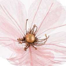 MAGNOLIA POLIESTER ROSA 27 X 27 X 50 CM MAGNOLIA POLIESTER ROSA 27 X 27 X 50 CM