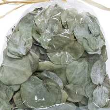 HOJA EUCALIPTO VERDE 15 X 5 X 20 CM HOJA EUCALIPTO VERDE 15 X 5 X 20 CM