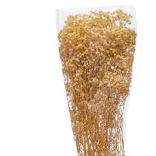 FLOR PANICULATA NATURAL 25 X 15 X 60 CM FLOR PANICULATA NATURAL 25 X 15 X 60 CM