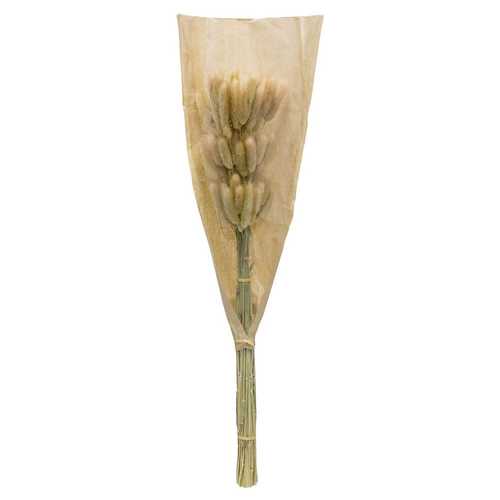 FLOR LANGURUS BEIGE 23 X 3 X 60 CM