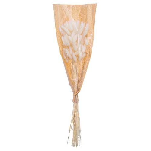 FLOR LANGURUS NATURAL 25 X 3 X 60 CM