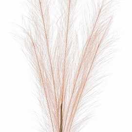 RAMA PLUMA PLÁSTICO BEIGE 80 CM