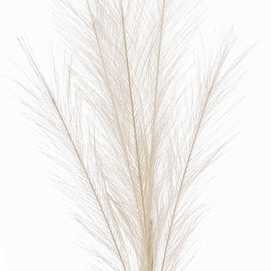 RAMA PLUMA PLÁSTICO AMARILLO 80 CM