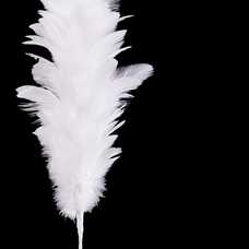 RAMA PLUMAS BLANCO 45 CM