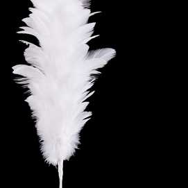 RAMA PLUMAS BLANCO 45 CM