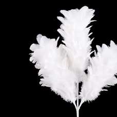 RAMA 3 HOJAS PLUMAS BLANCO 11 X 55 CM