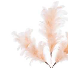 RAMA 3 HOJAS PLUMAS CREMA 11 X 55 CM