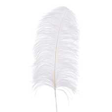 RAMA PLUMA AVESTRUZ BLANCO 70 CM RAMA PLUMA AVESTRUZ BLANCO 70 CM