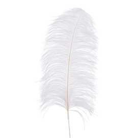 RAMA PLUMA AVESTRUZ BLANCO 70 CM