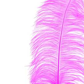 RAMA PLUMA AVESTRUZ FUCSIA 70 CM
