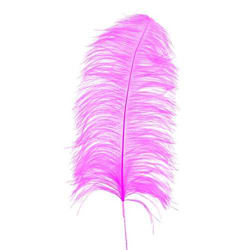 RAMA PLUMA AVESTRUZ FUCSIA 70 CM