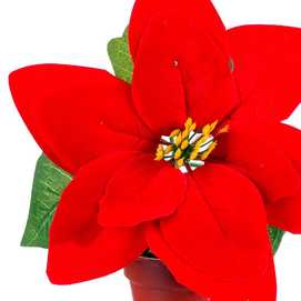 MACETA POINSETTIA TEJIDO 18 CM