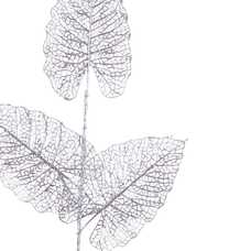 RAMA PLATA 74 CM RAMA PLATA 74 CM