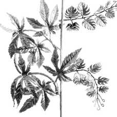 RAMA PLÁSTICO PLATA 50 CM