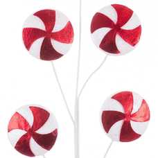 RAMA ACEBO 5 DISCOS PLÁSTICO 60 CM