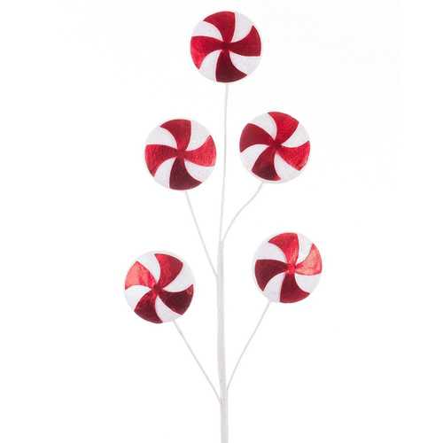 RAMA ACEBO 5 DISCOS PLÁSTICO 60 CM