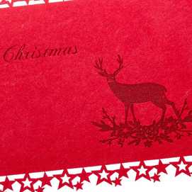 SET SALVAMANTEL Y POSAVASOS FIELTRO ROJO 40 X 30 CM