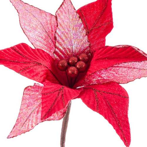 POINSETTIA ROJO 32 X 32 X 50 CM