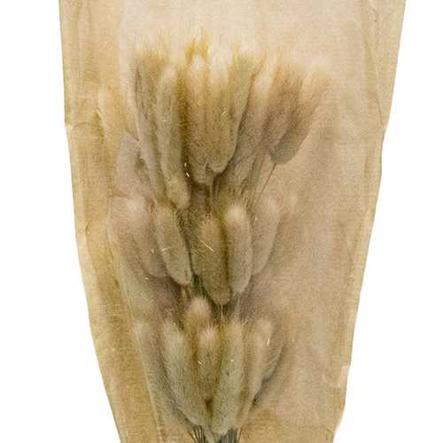 FLOR LANGURUS BEIGE 23 X 3 X 60 CM