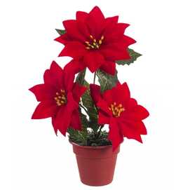 MACETA 3 POINSETIA 20 CM