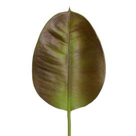 HOJA MARRÓN-VERDE PVC JARDÍN 20 X 57 CM