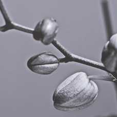 CUADRO IMPRESIÓN FLOR DECORACIÓN 65 X 2 X 95 CM