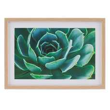 CUADRO IMPRESIÓN CACTUS 2/M DECORACIÓN 49 X 2 X 69 CM