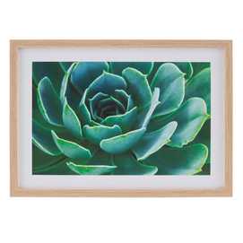 CUADRO IMPRESIÓN CACTUS 2/M DECORACIÓN 49 X 2 X 69 CM